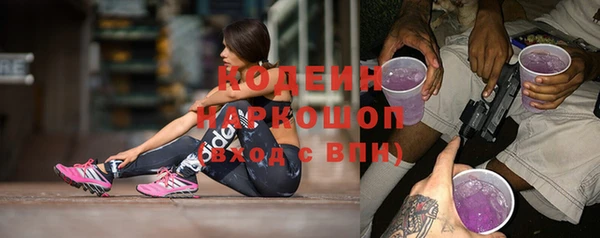 PSILOCYBIN Бородино