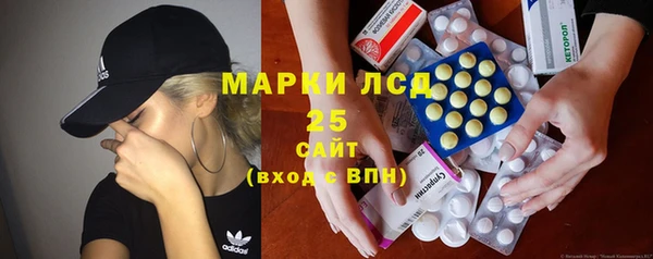 PSILOCYBIN Бородино