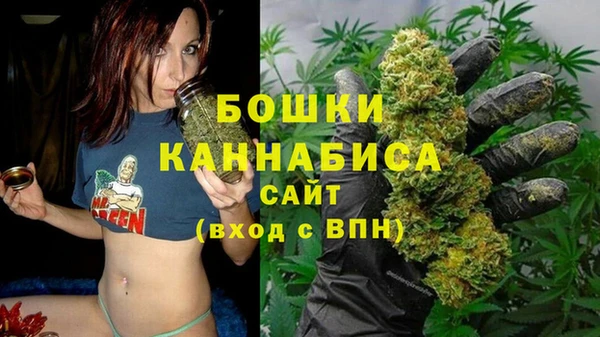 PSILOCYBIN Бородино