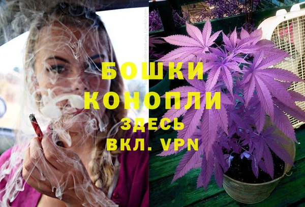 PSILOCYBIN Бородино