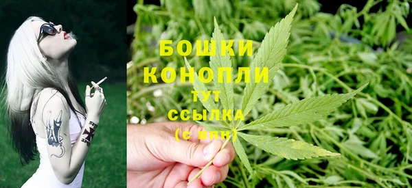 PSILOCYBIN Бородино
