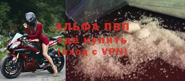 PSILOCYBIN Бородино