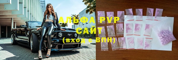 PSILOCYBIN Бородино