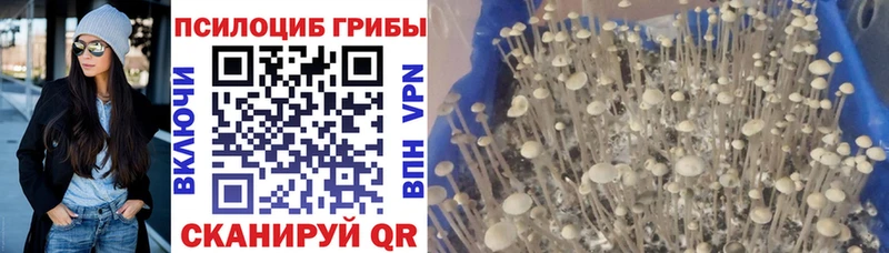 Галлюциногенные грибы GOLDEN TEACHER  ссылка на мегу зеркало  Полтавская 